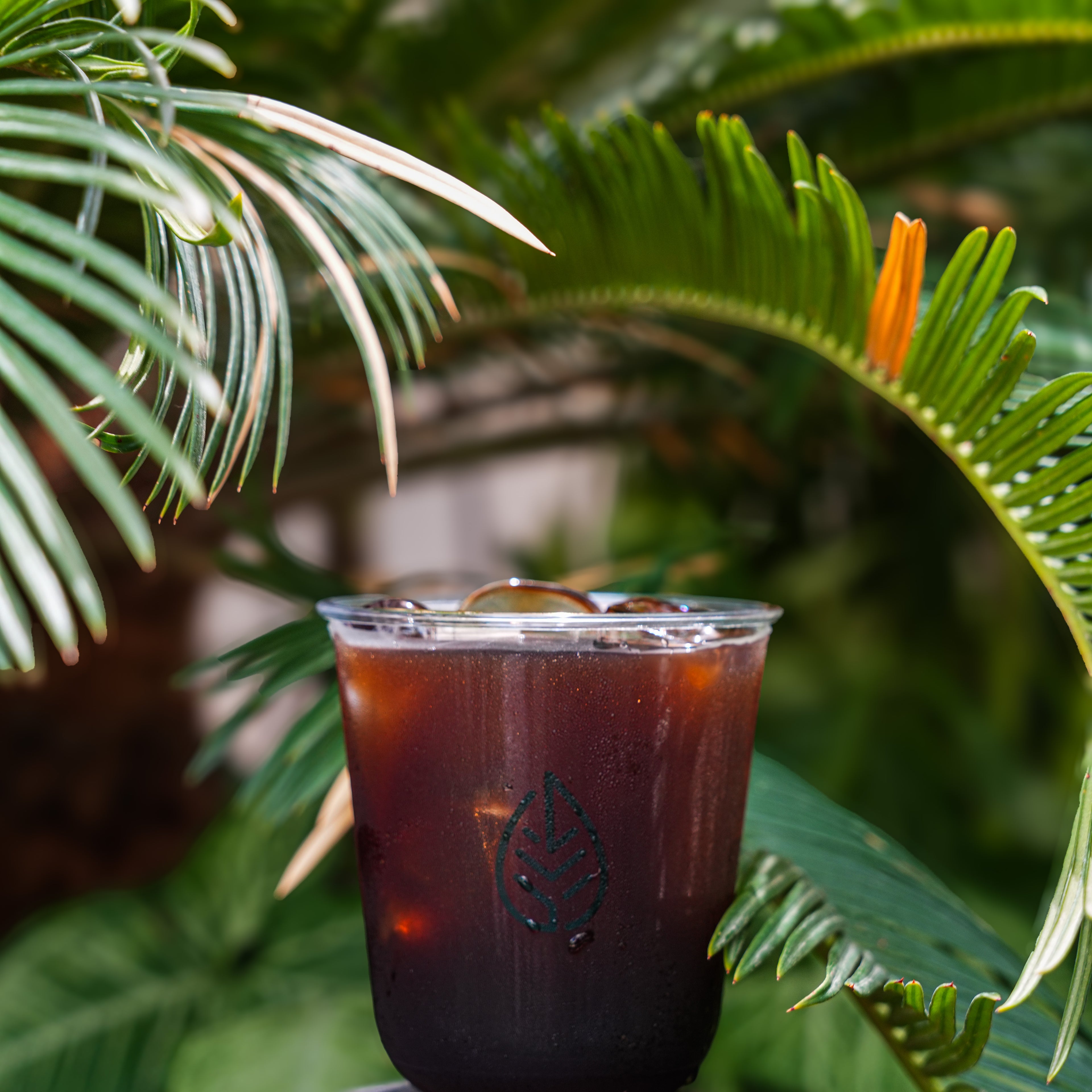 Ice/Hot V60
