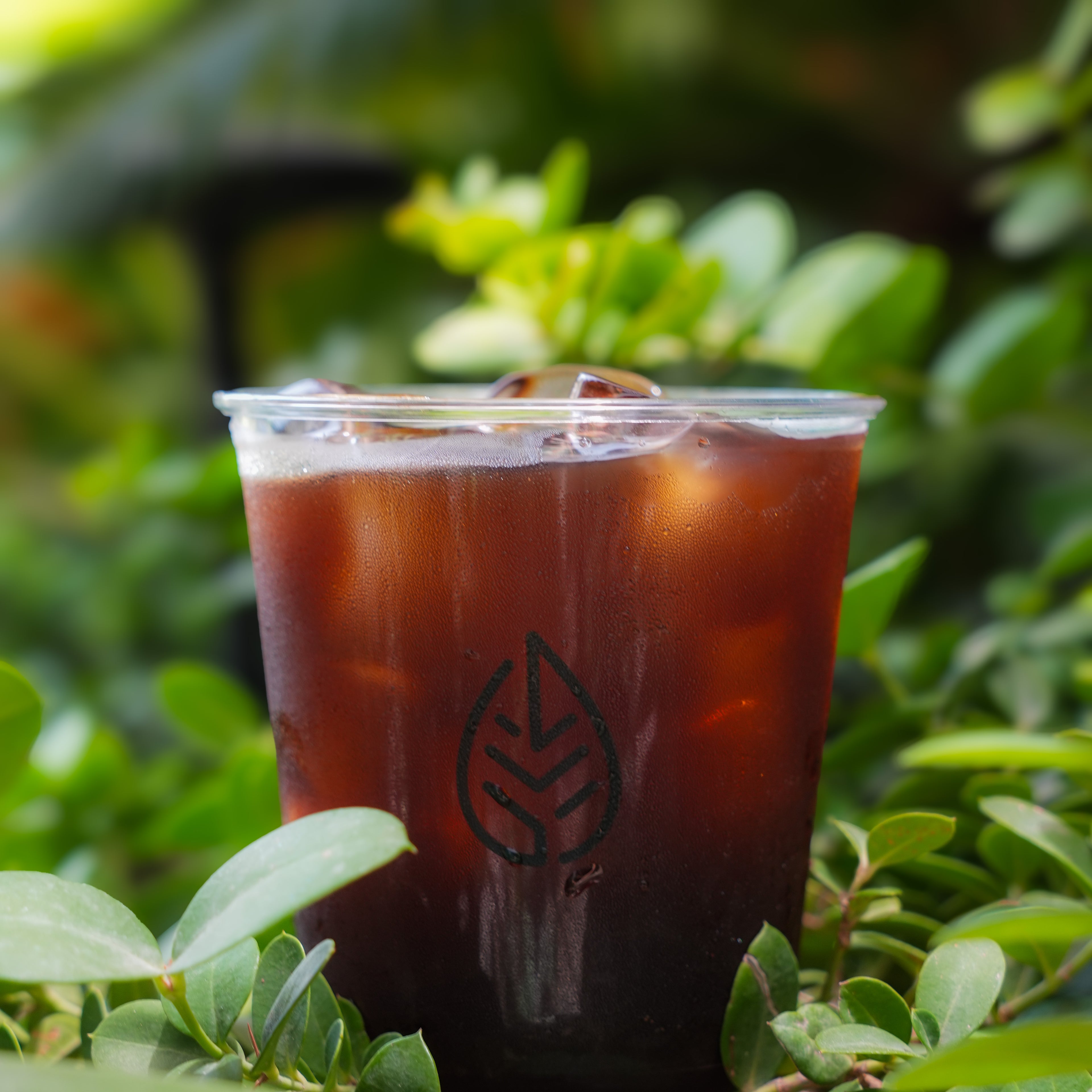 Ice/Hot Americano