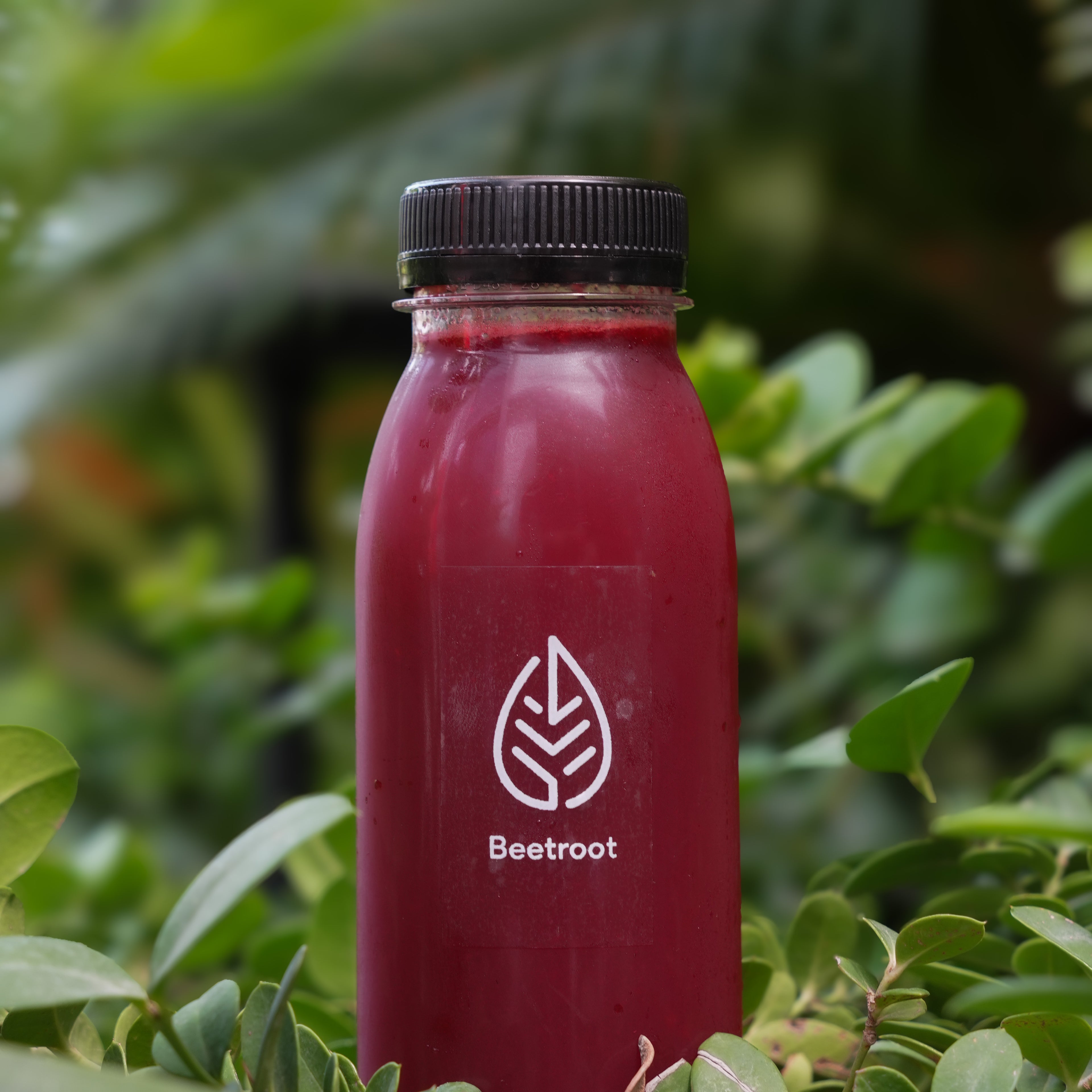 Beetroot Juice