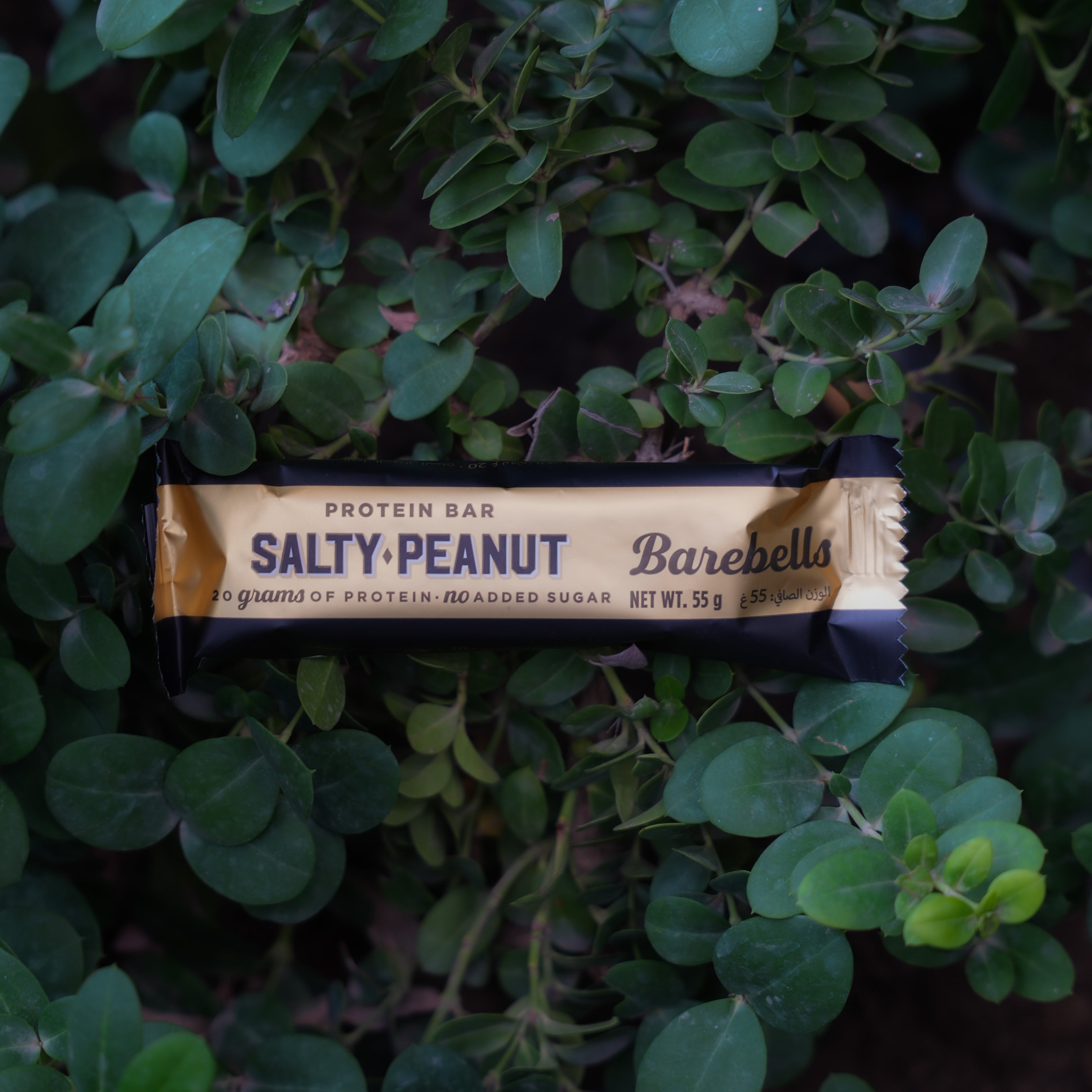 Protein Bar