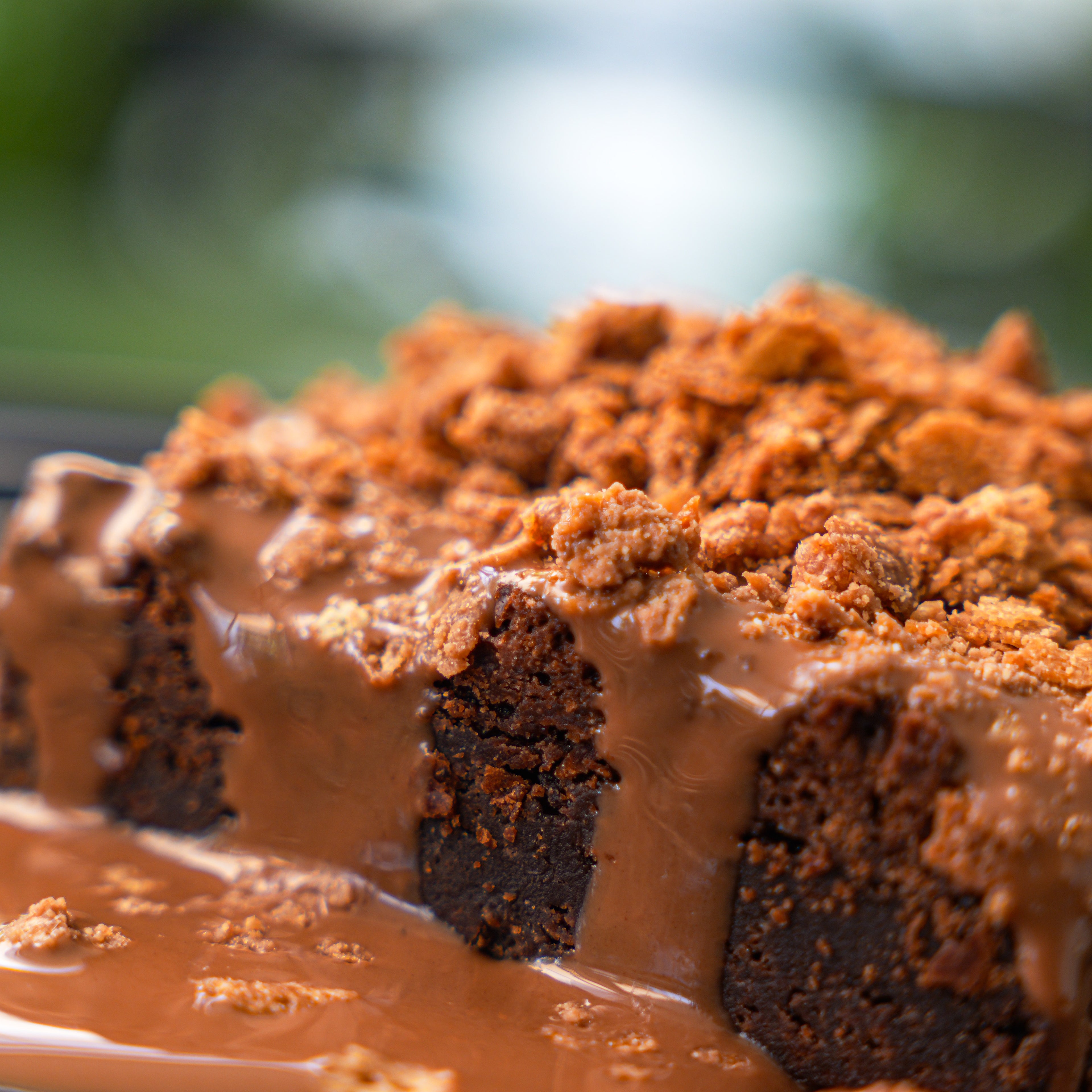 Fudge Brownie