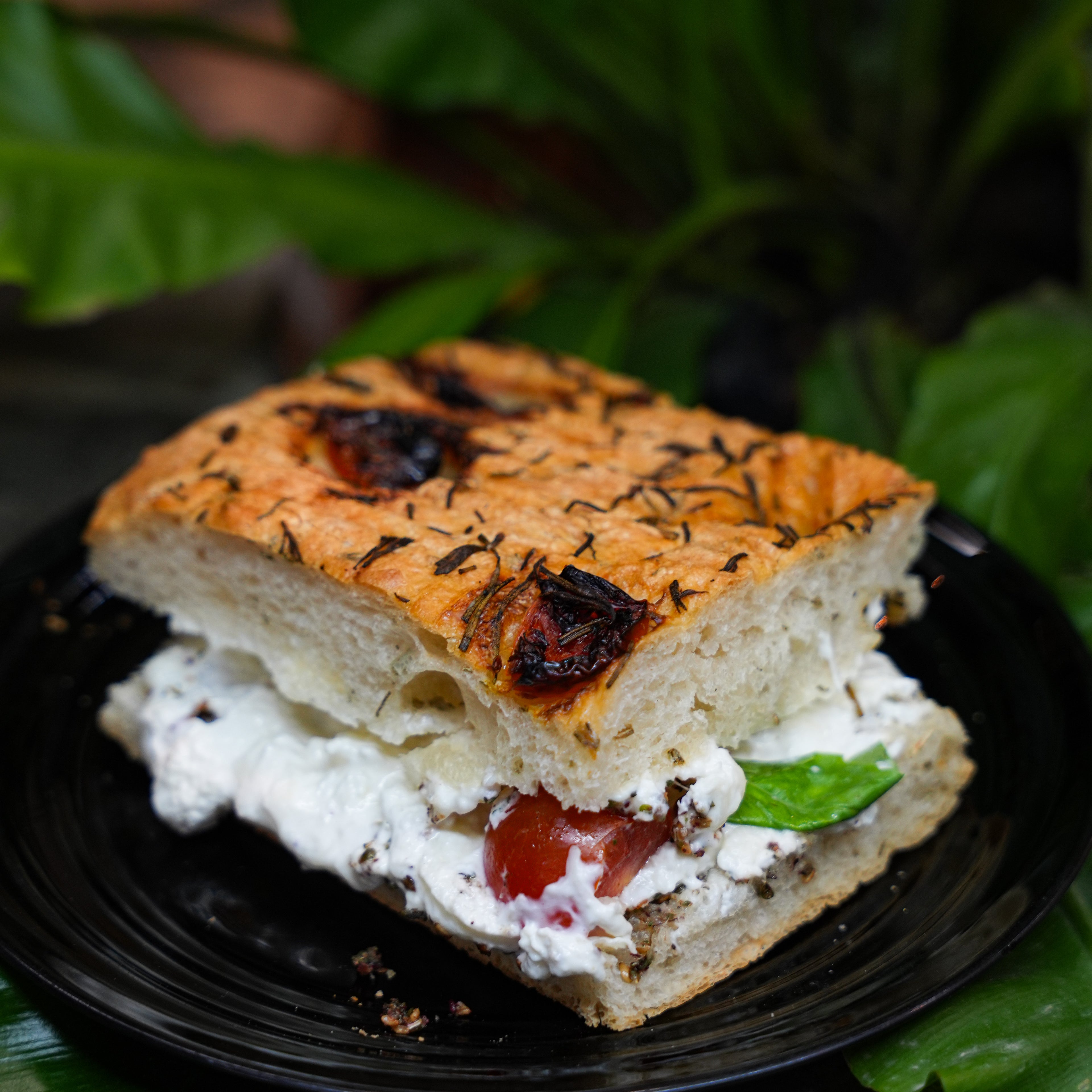 Burata Cheese