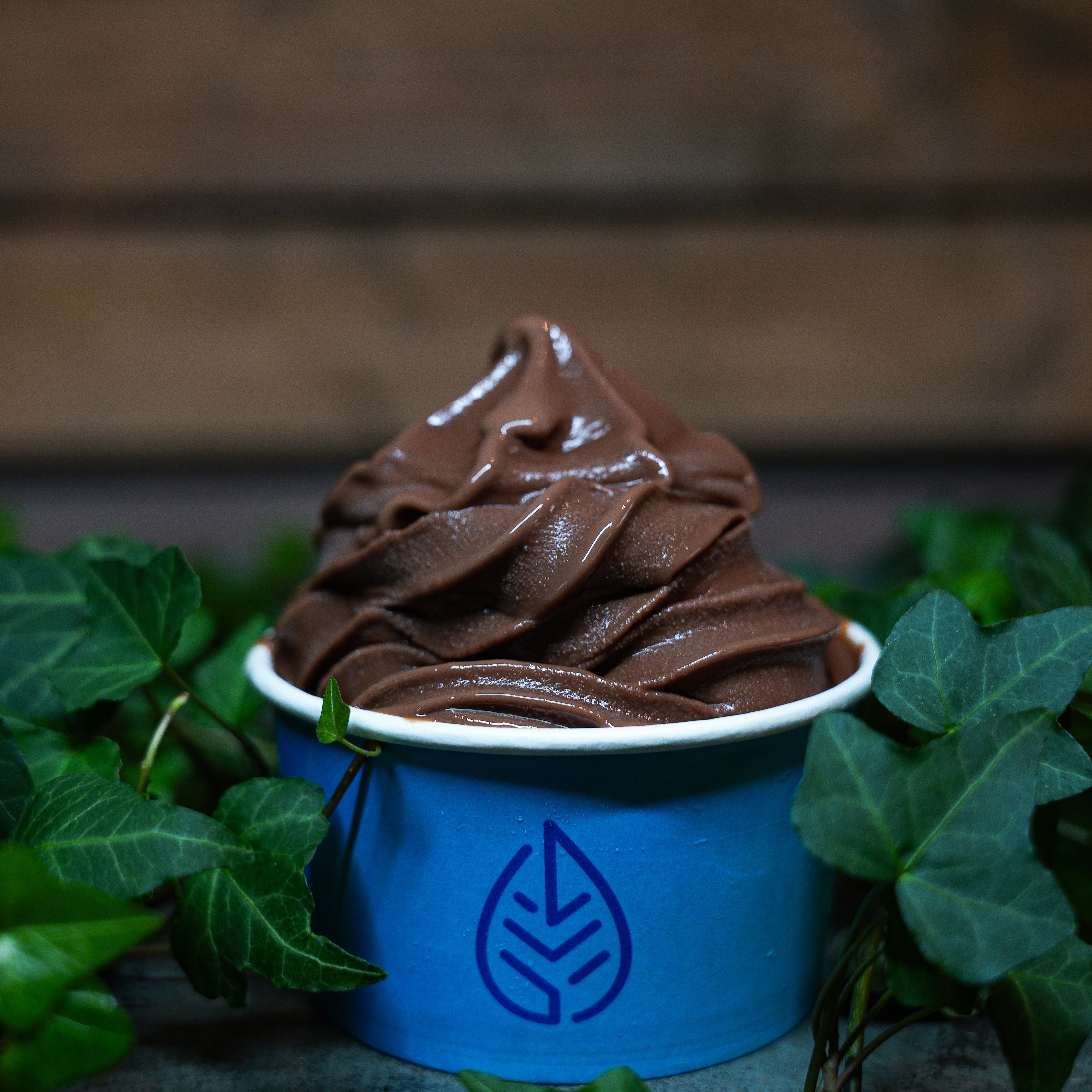 Chocolate Soft Ice Cream
