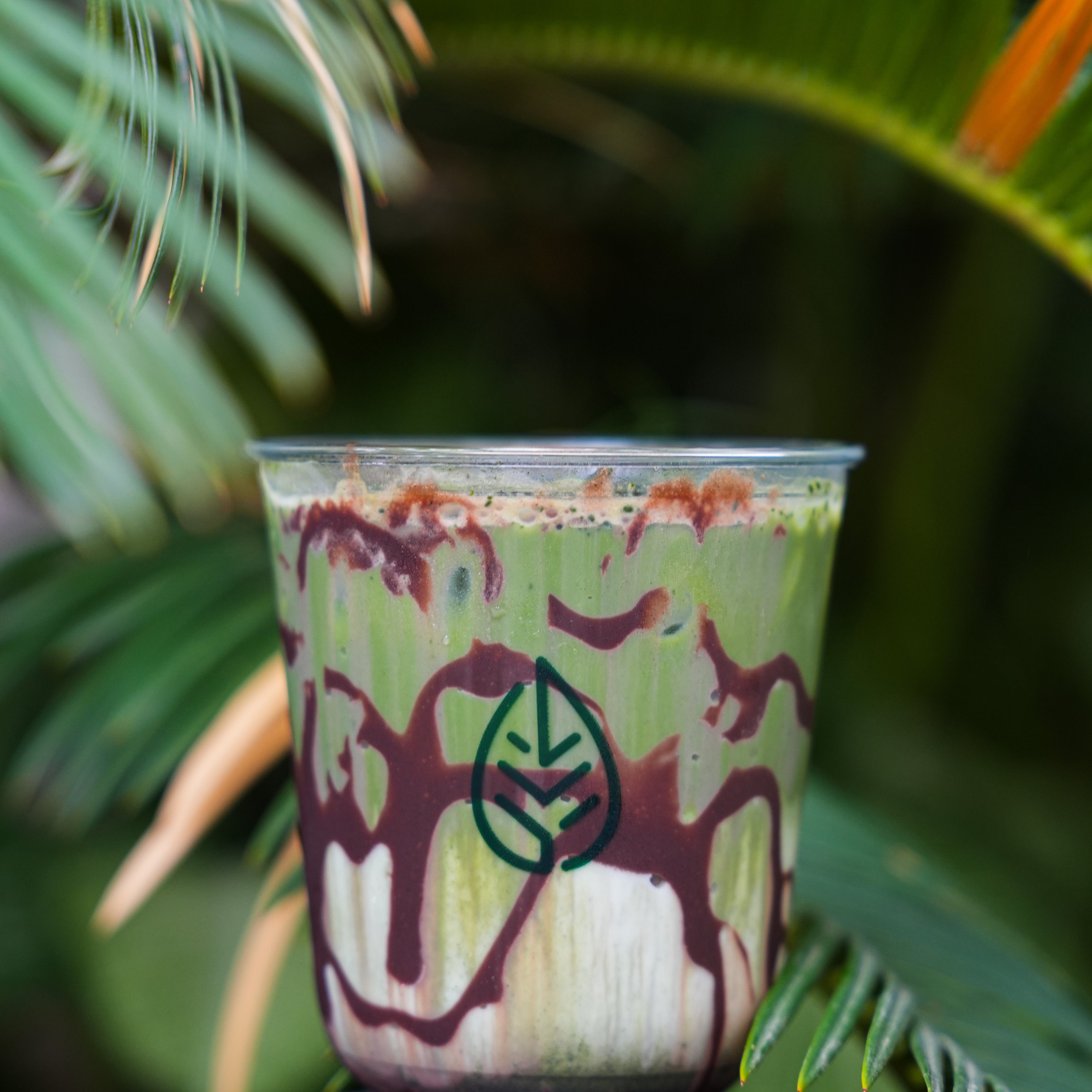 Forest Chocolate Matcha