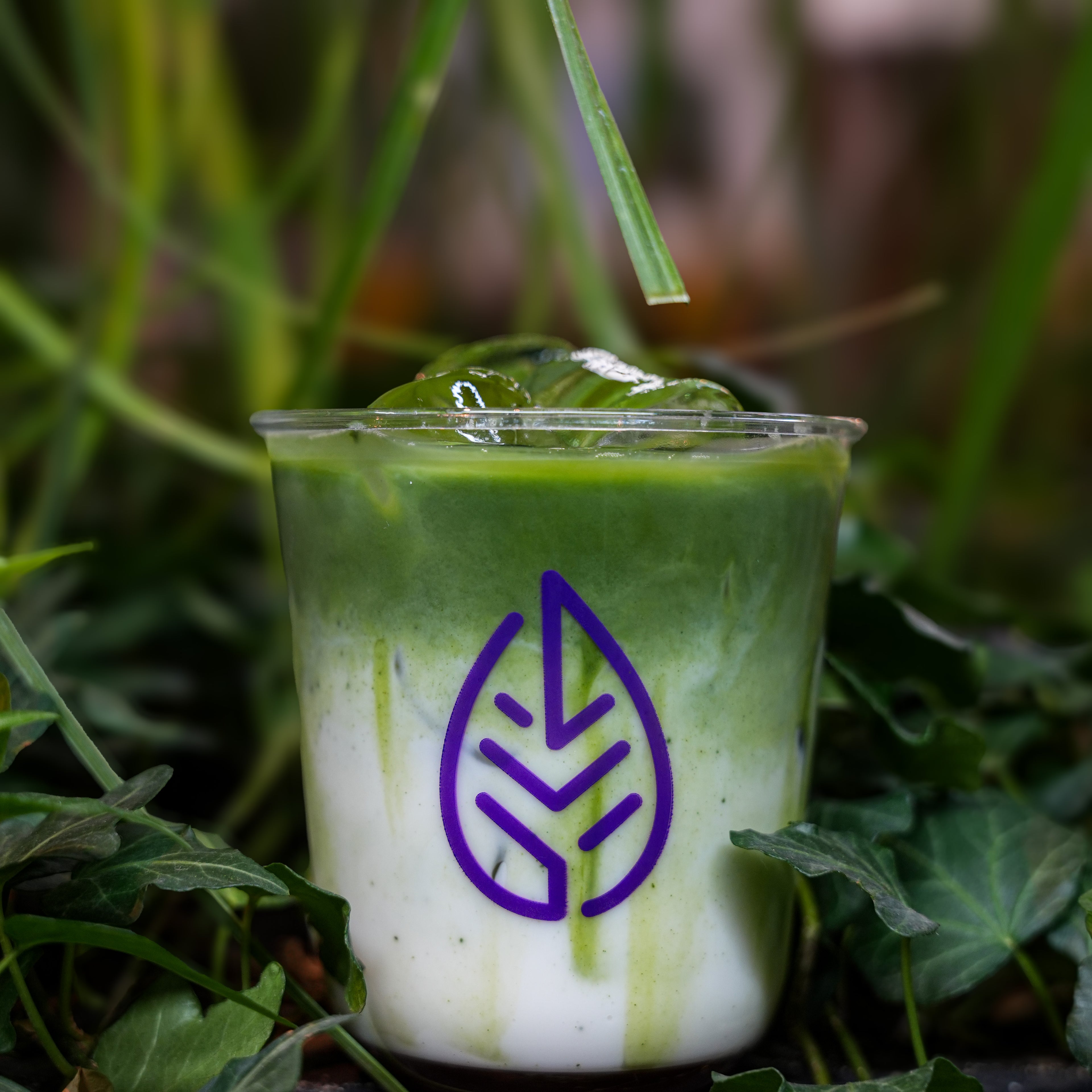 Honey Coconut Matcha