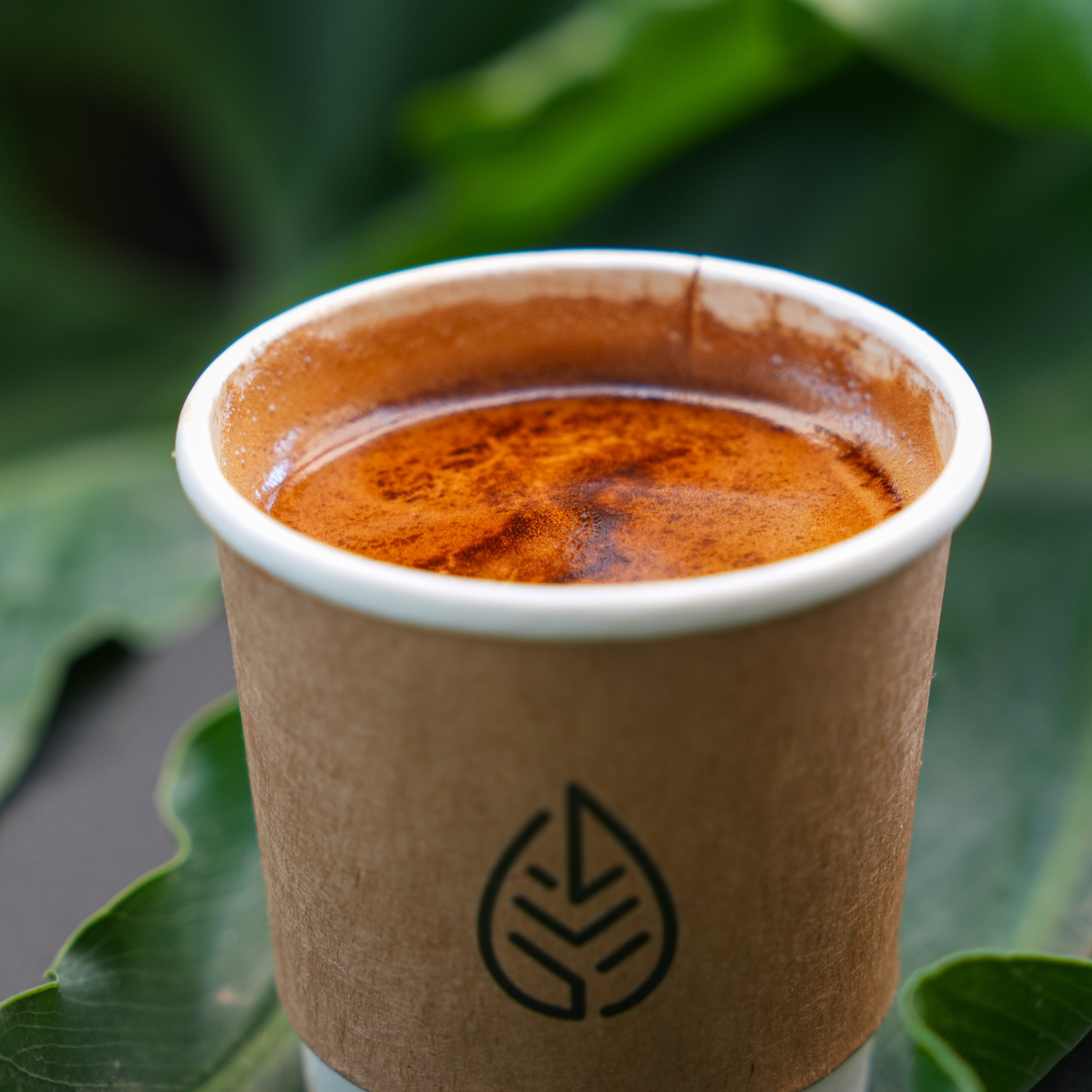 Double Espresso
