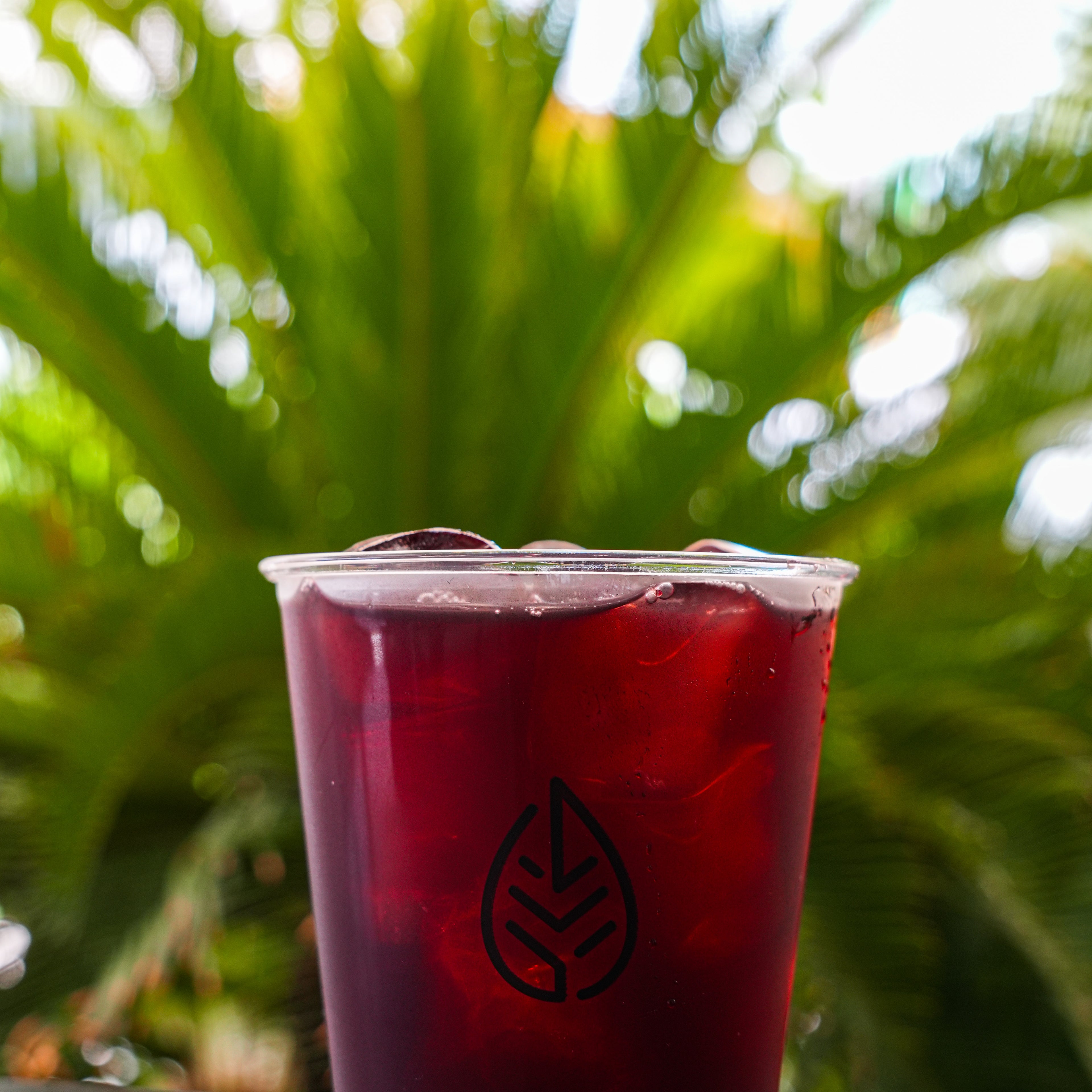 Forest Ice Tea