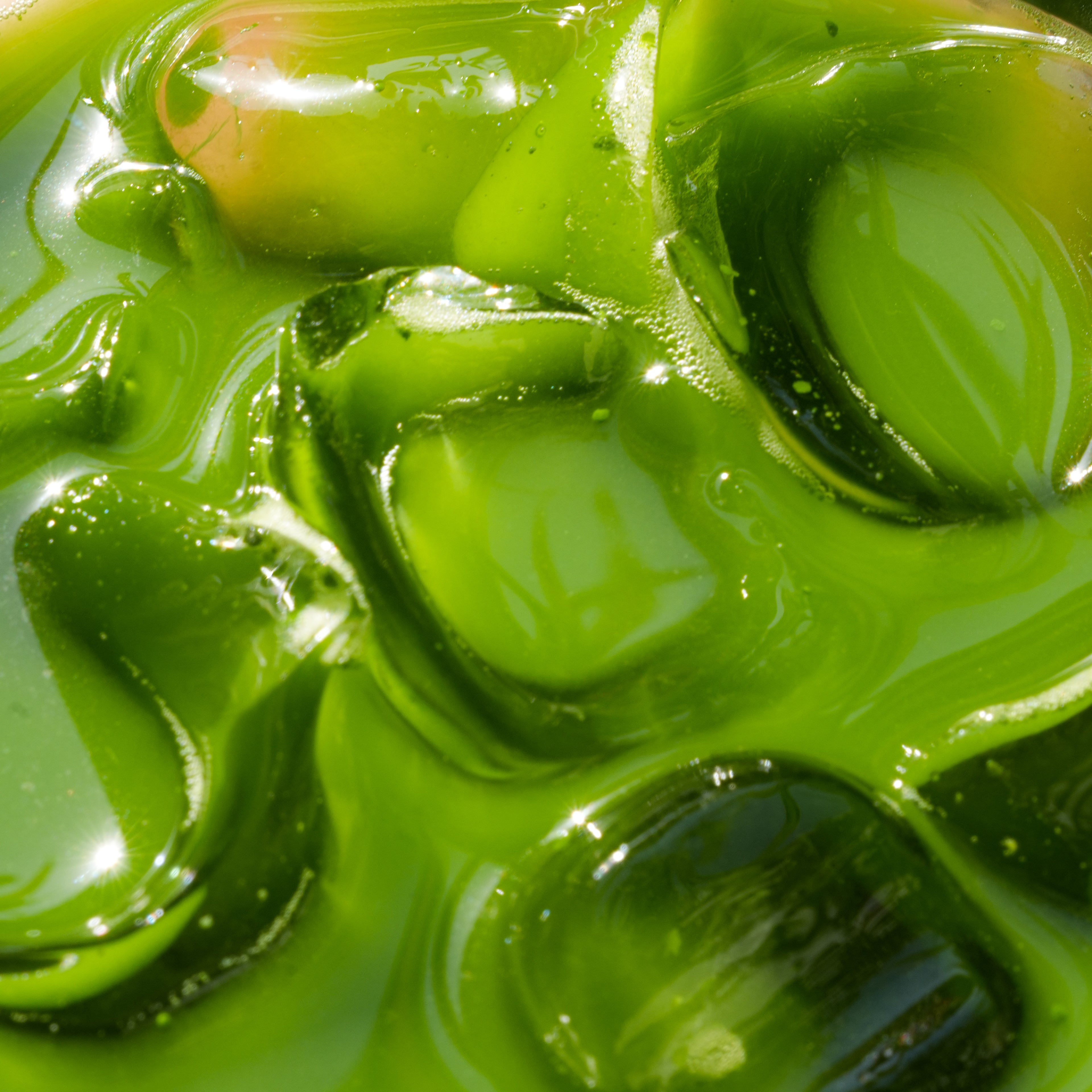 The Japanese Way Matcha