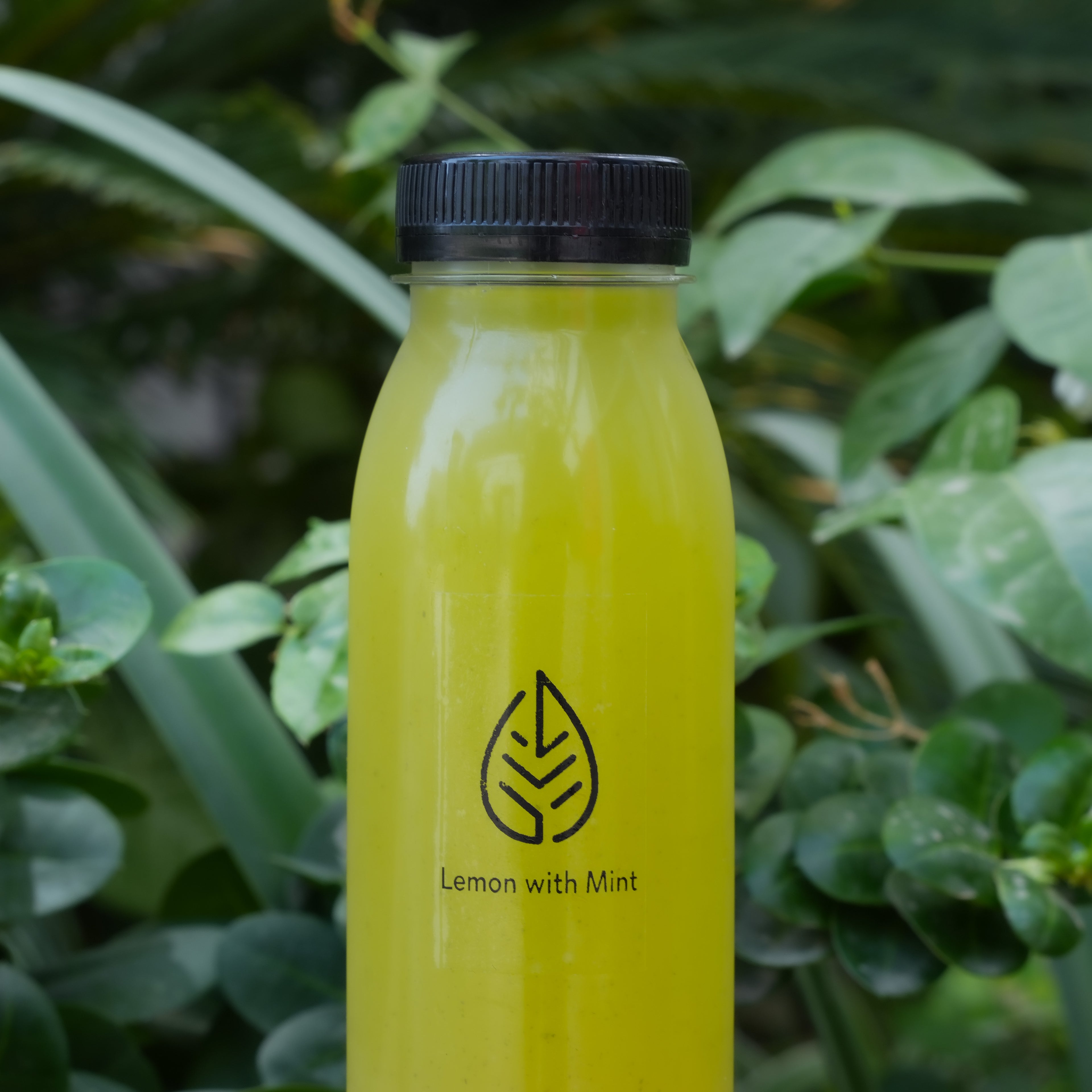 Lemon Mint Juice