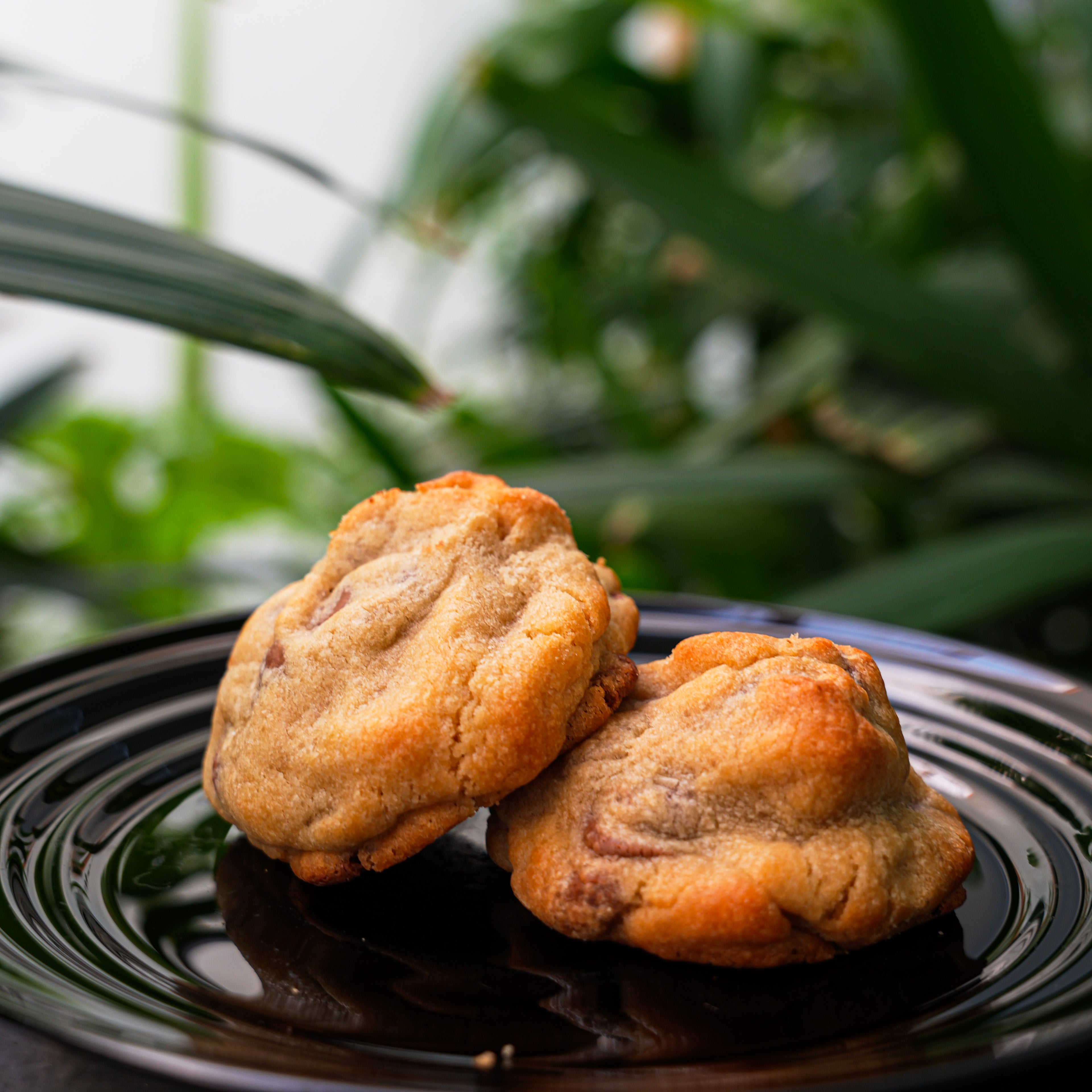 Milk Chocolate Cookie