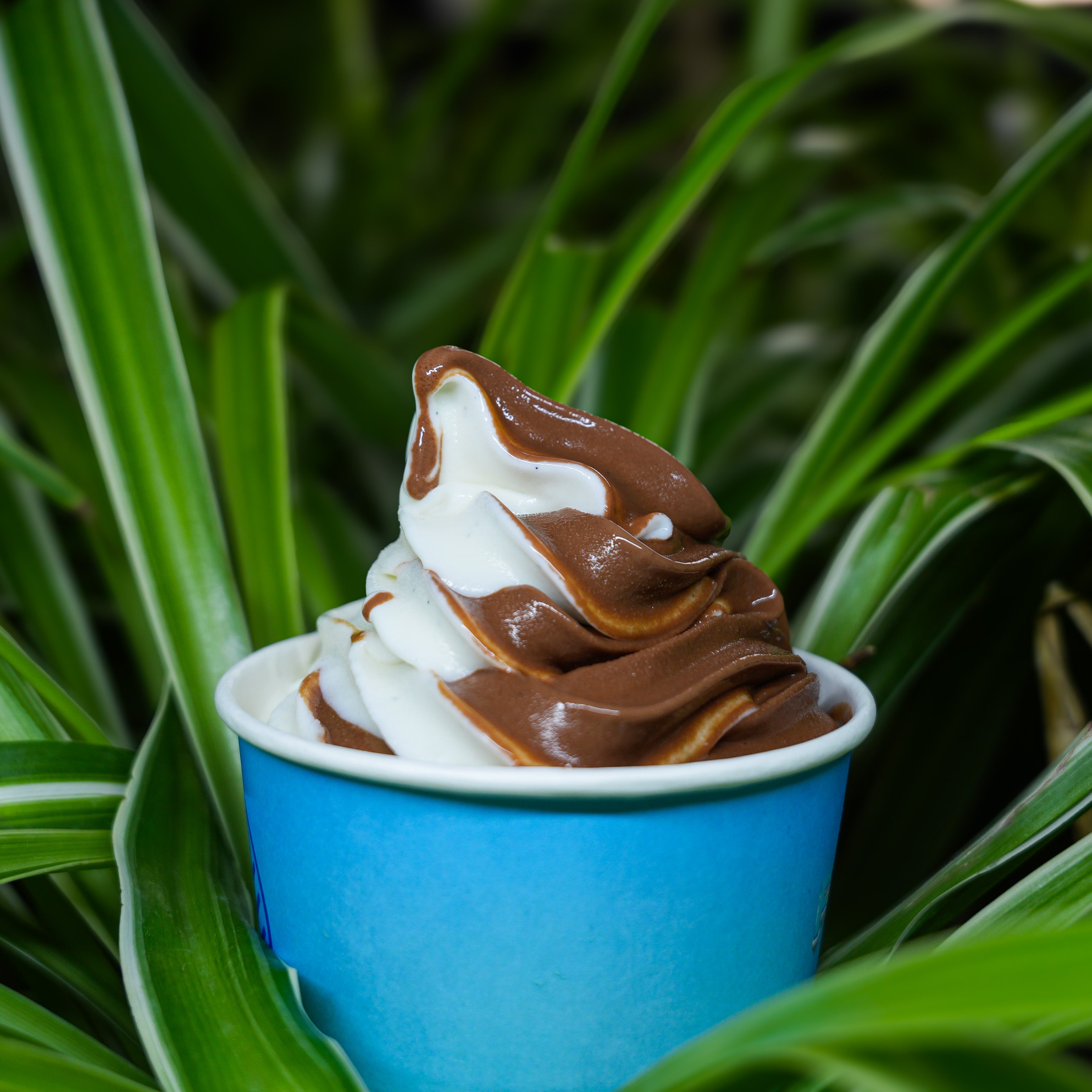 Mixed Soft Ice Cream