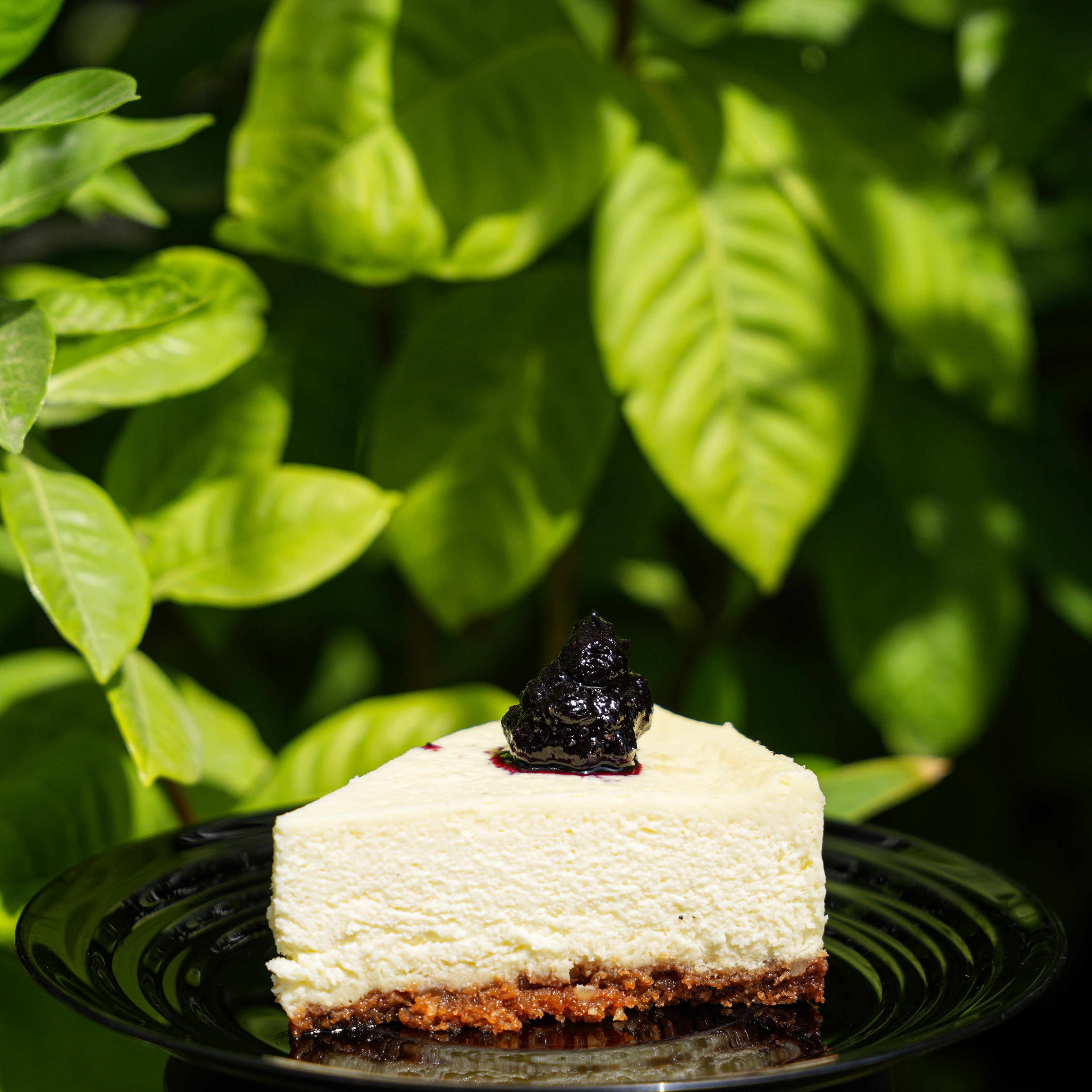 New York Cheesecake