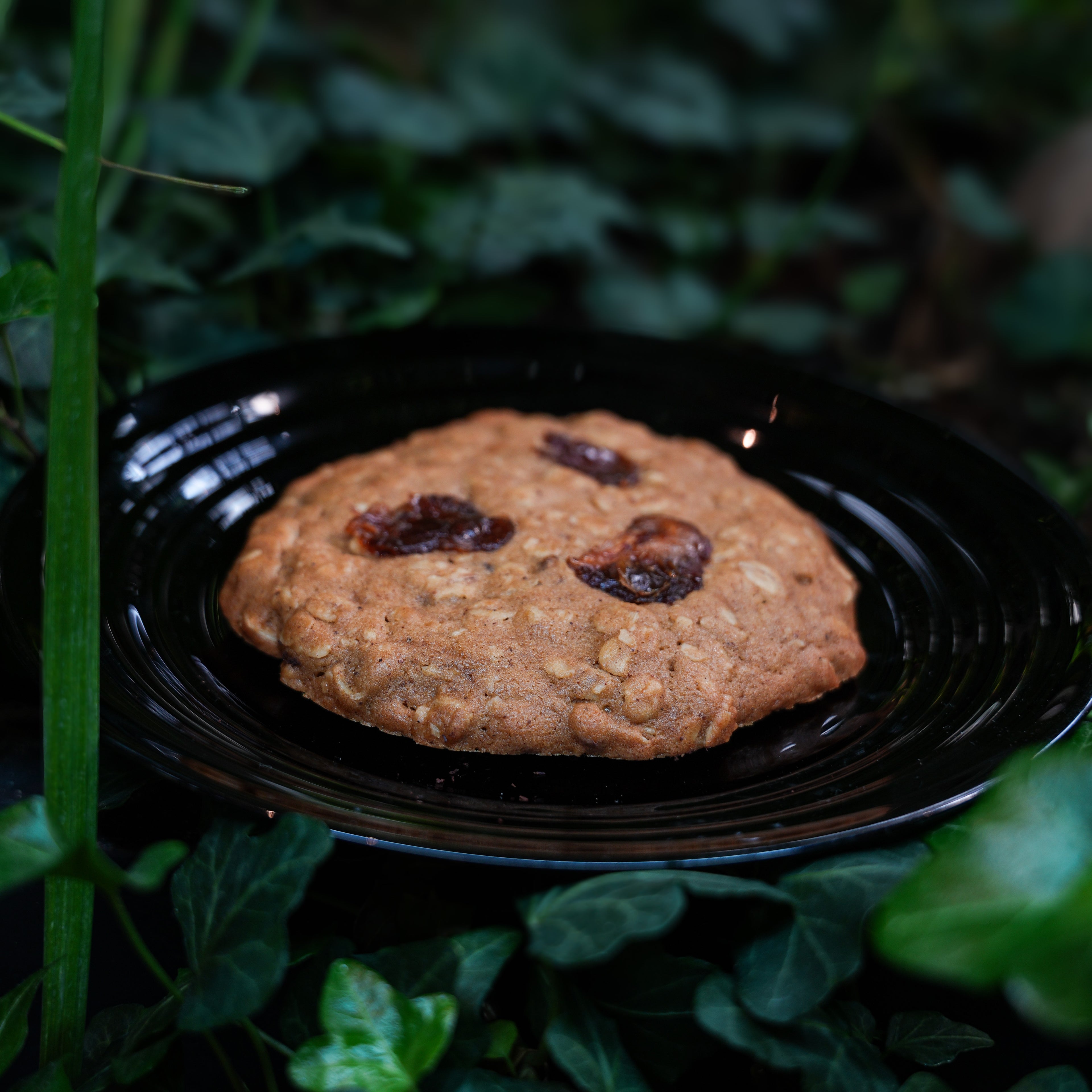 Oat Cookie
