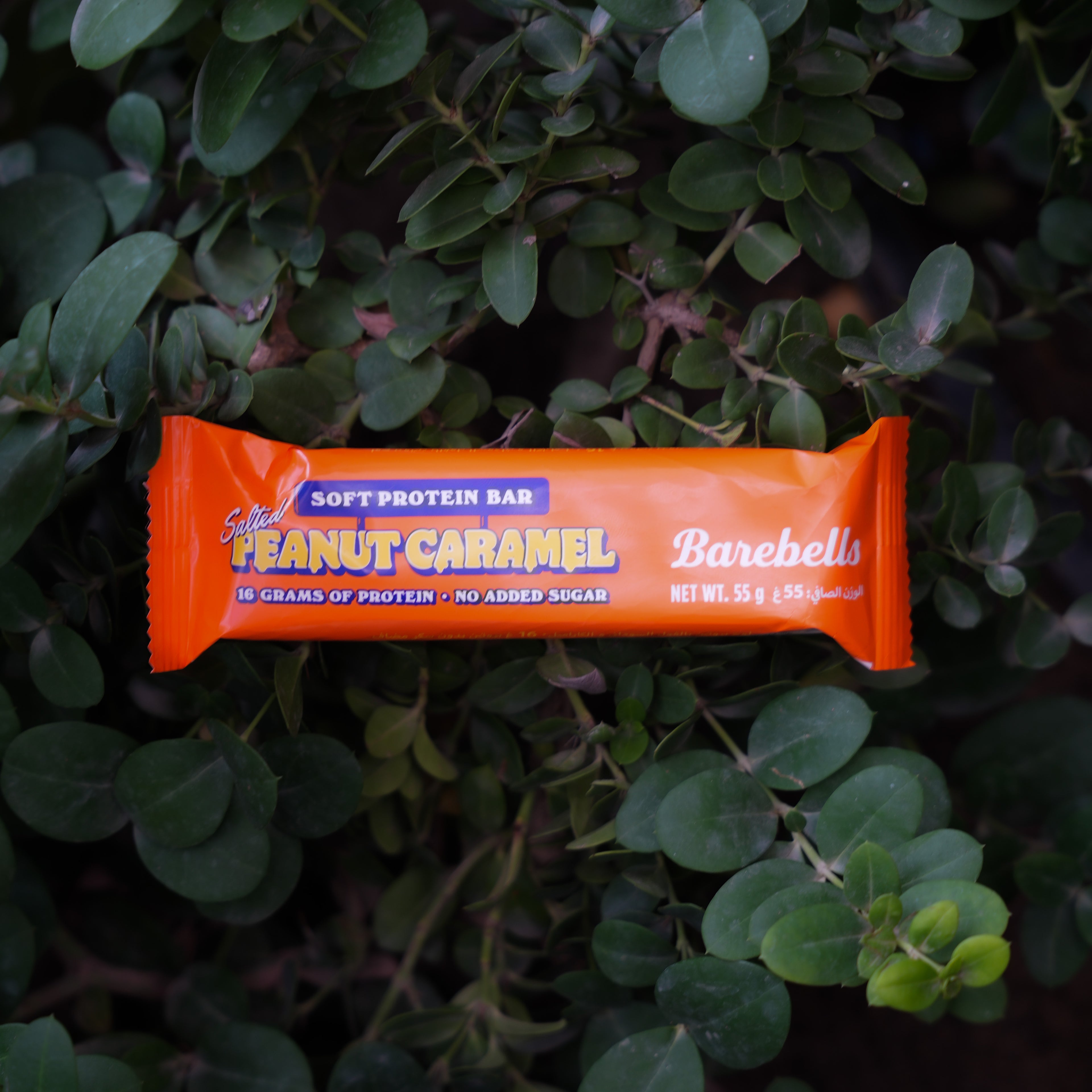 Protein Bar