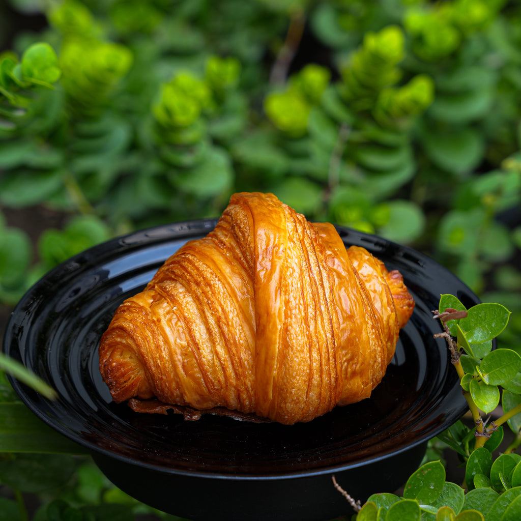Plain Croissant