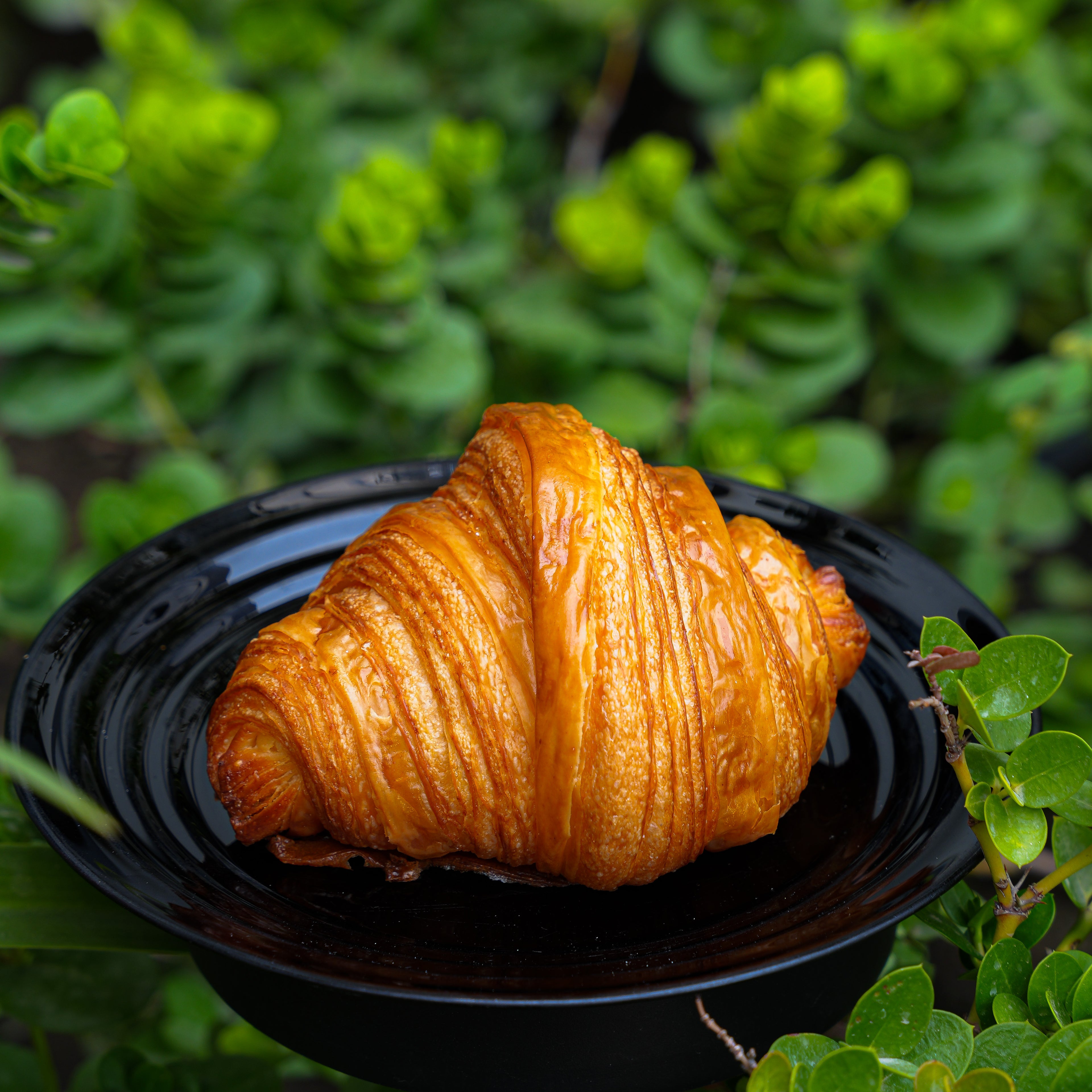 Plain Croissant