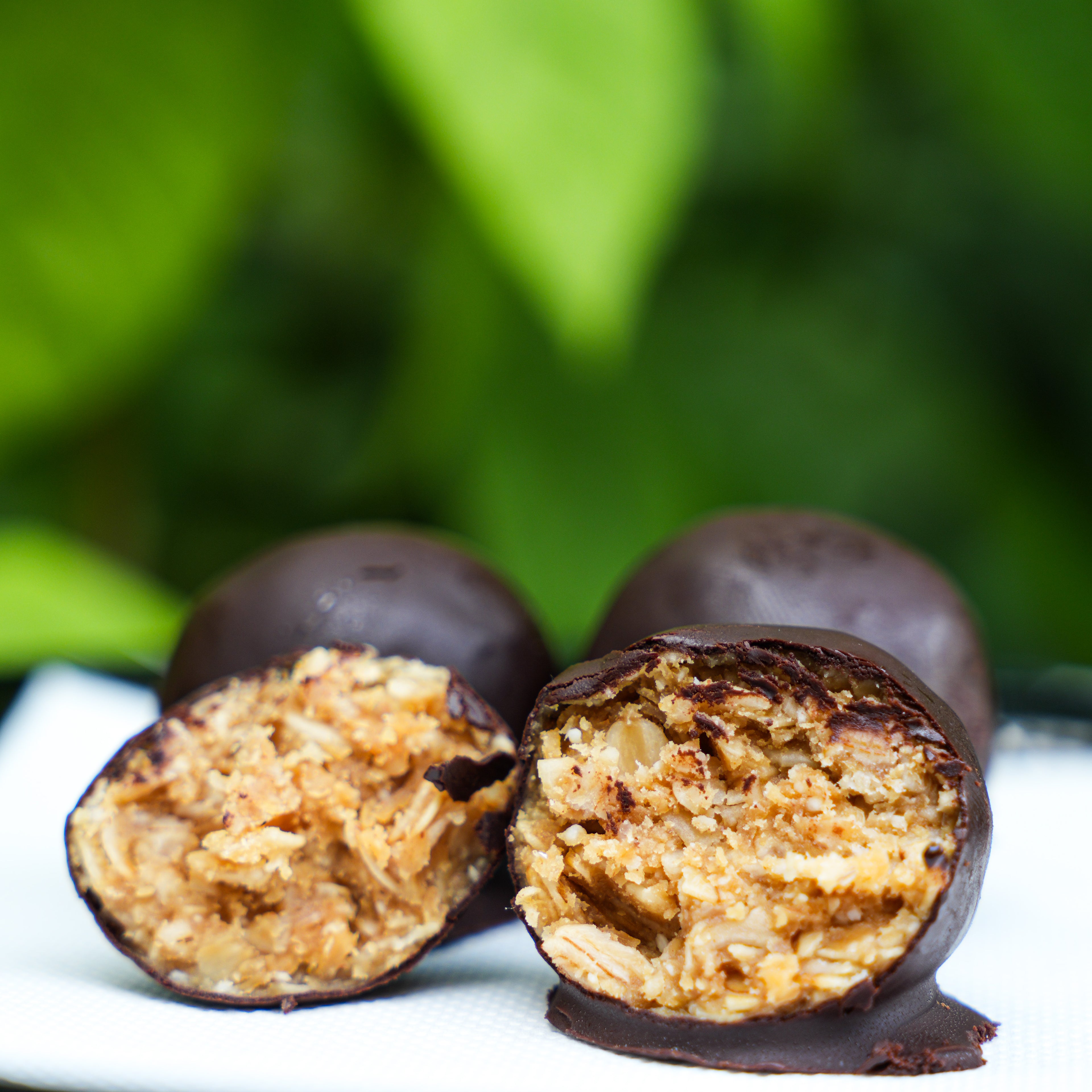 Protein Balls