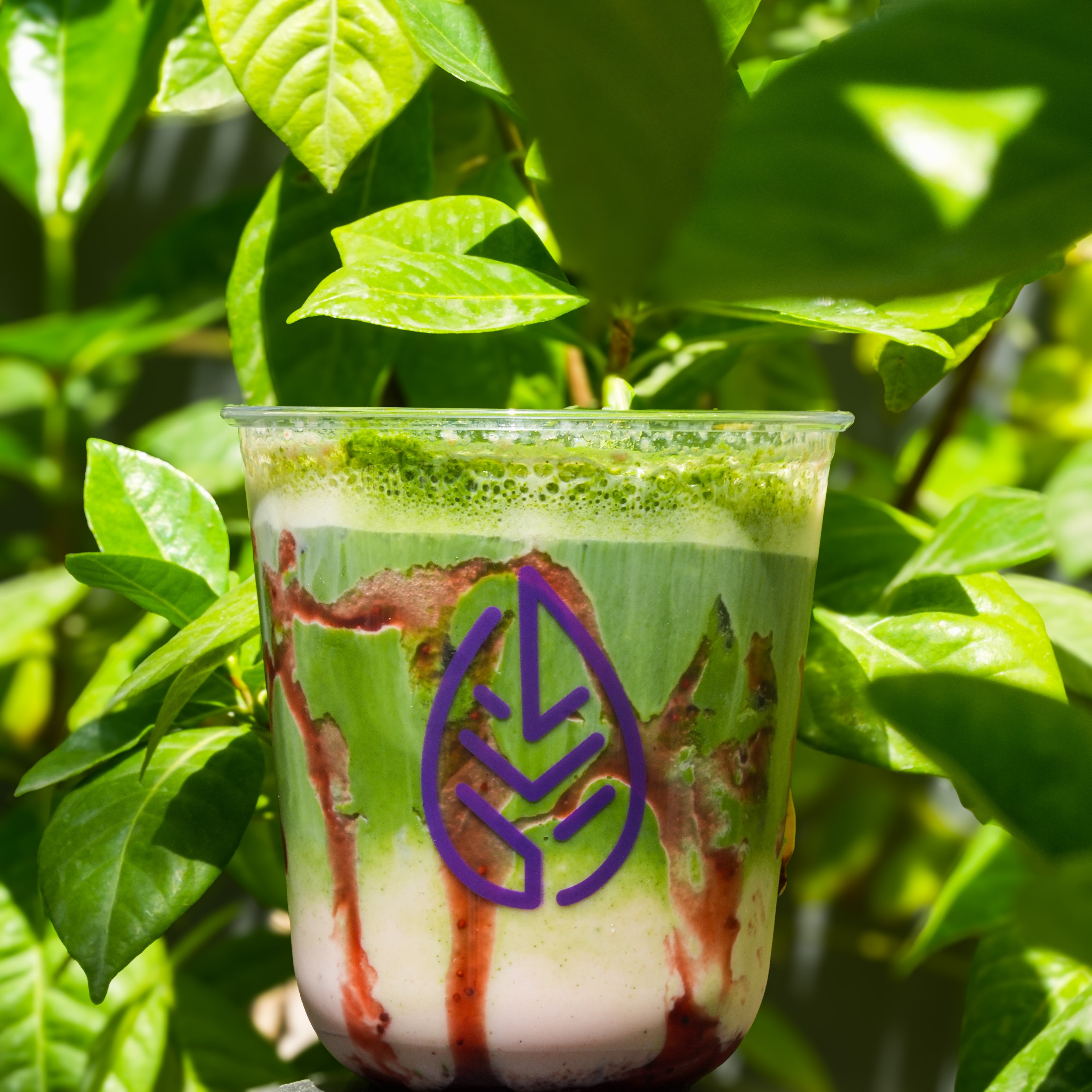 Strawberry Matcha