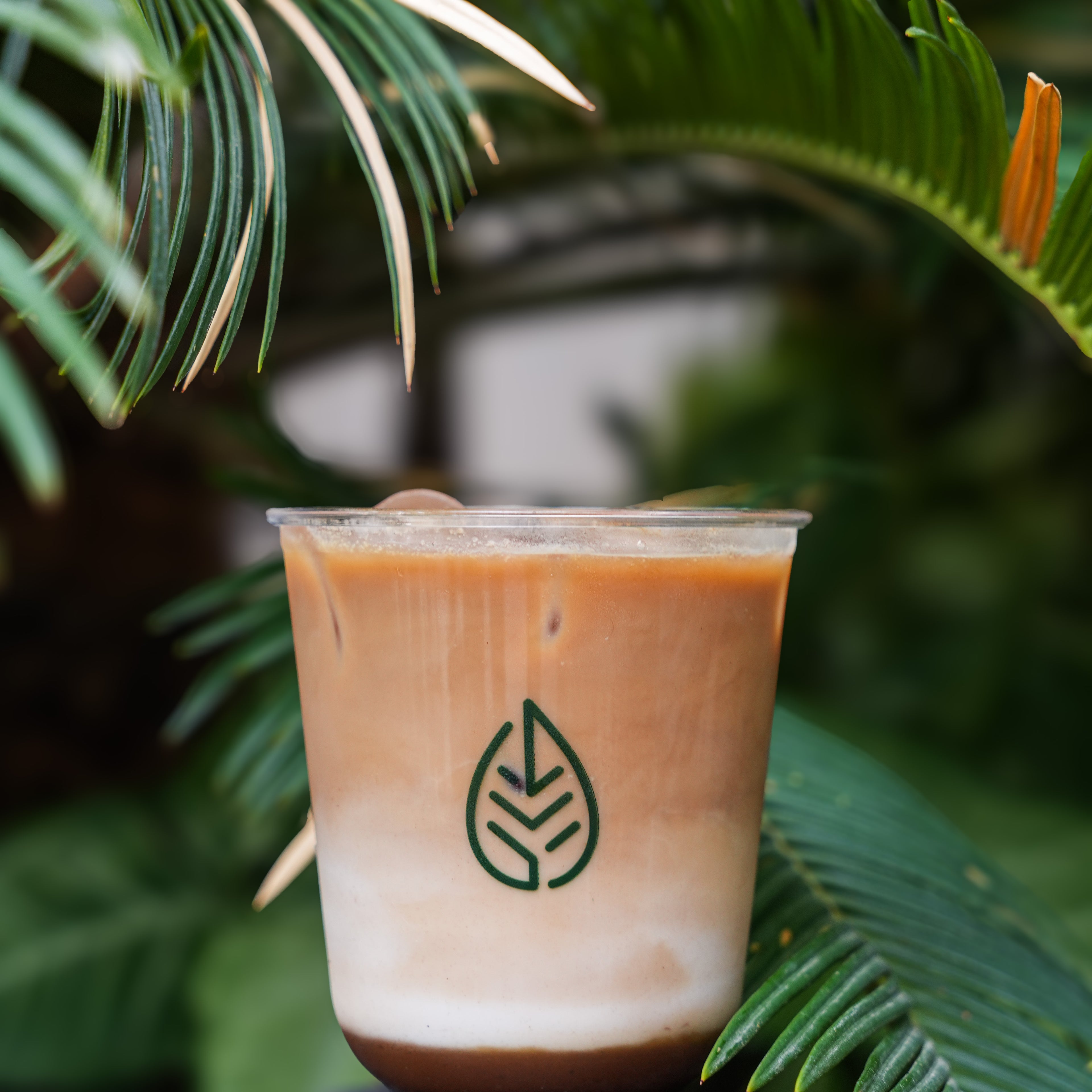 Hot/Ice Toffee Latte