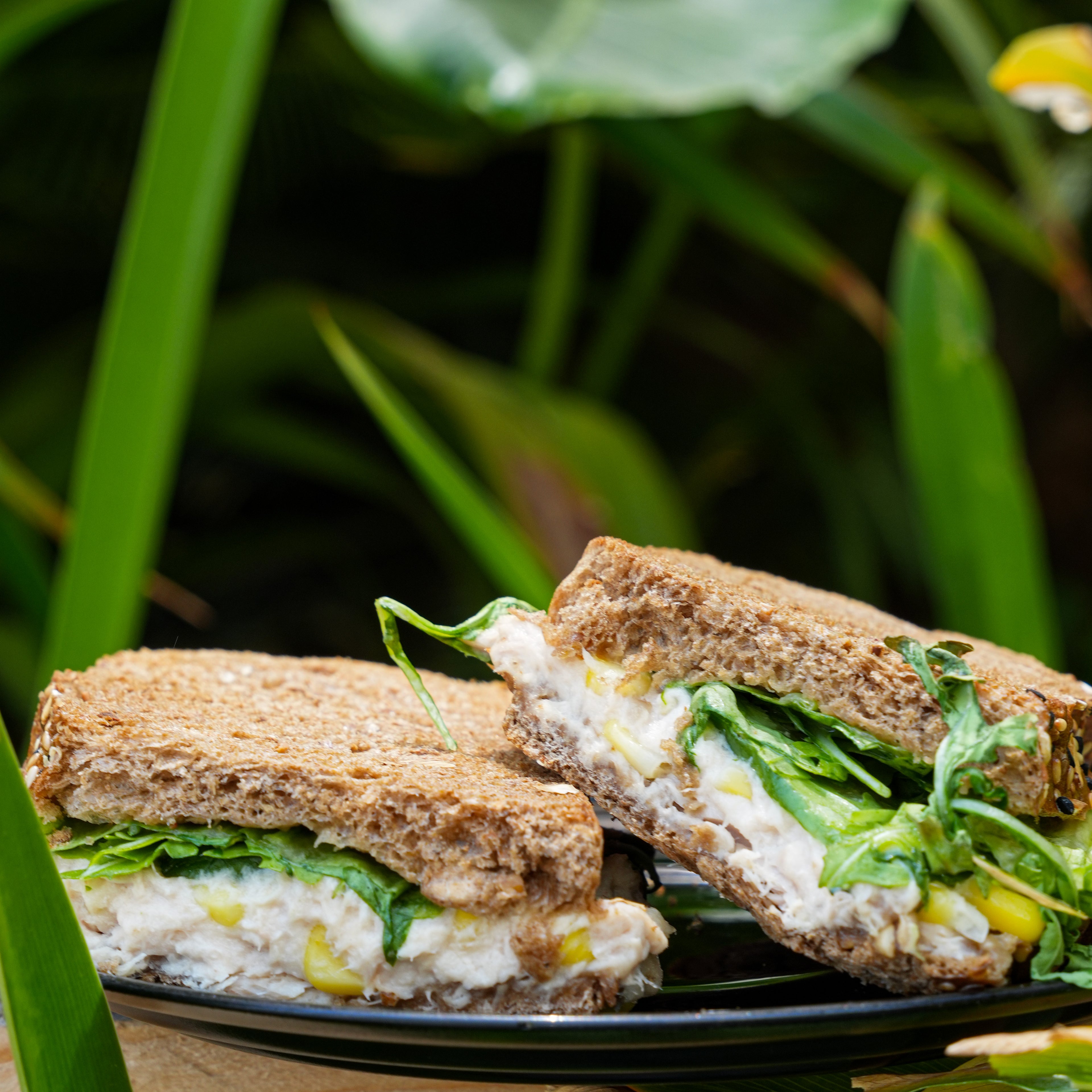 Tuna Sandwich
