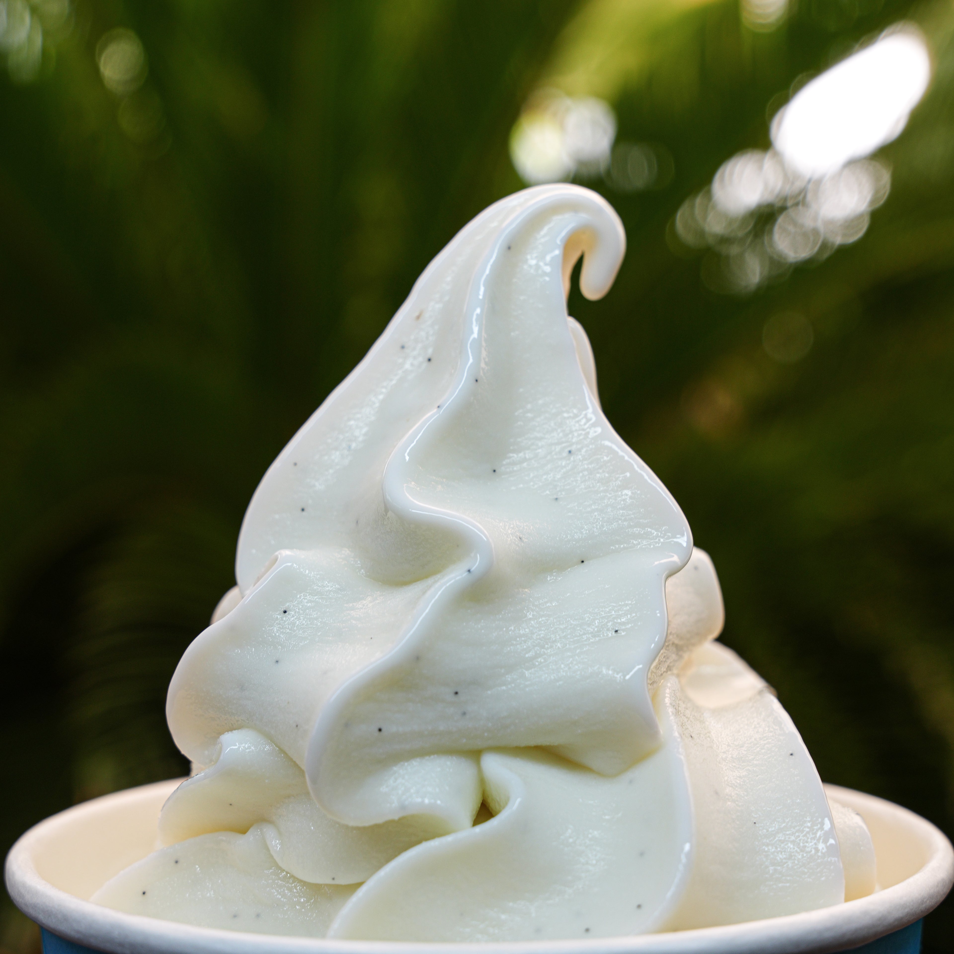 Vanilla Soft Ice cream