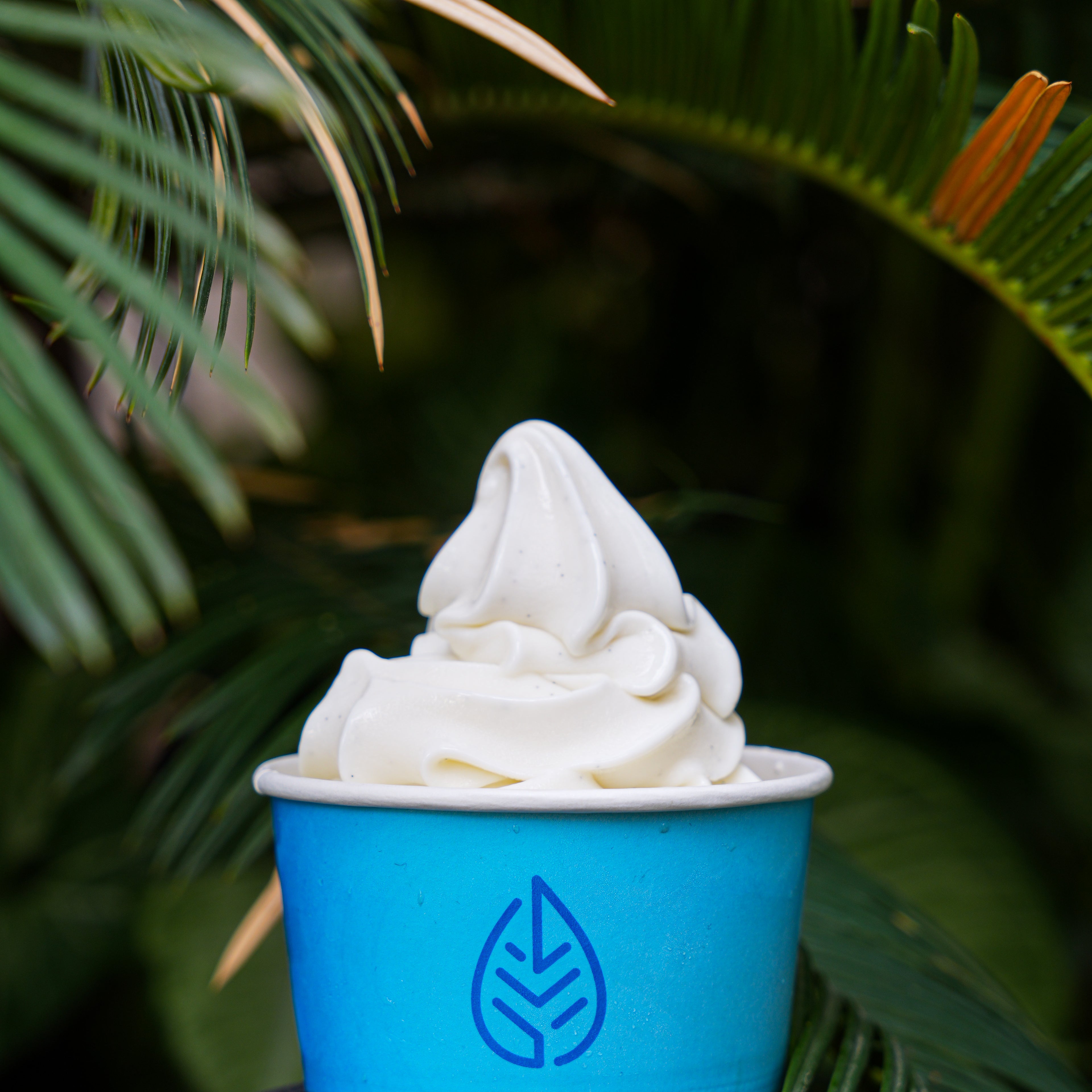 Vanilla Soft Ice cream
