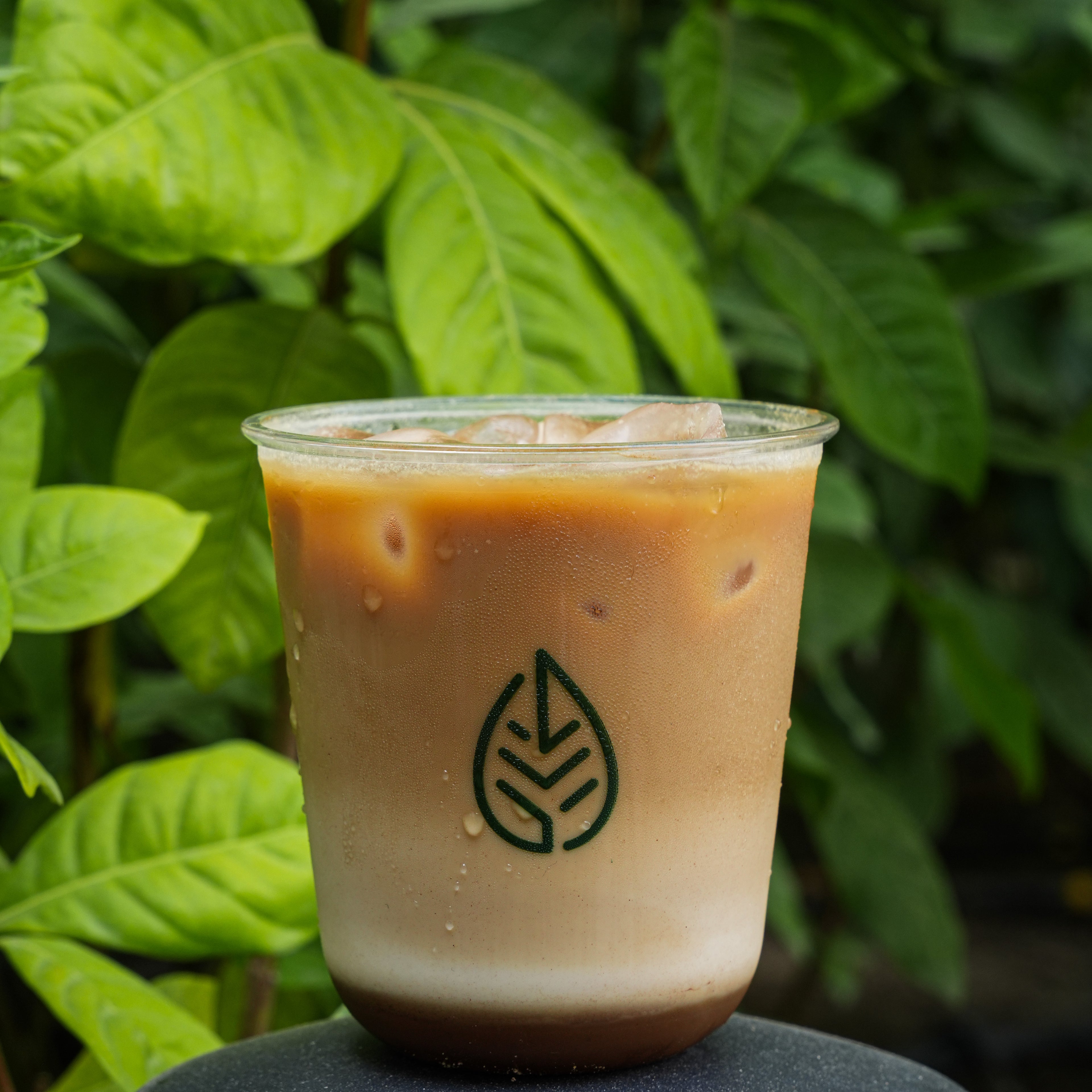 Hot/Ice Vanilla Latte
