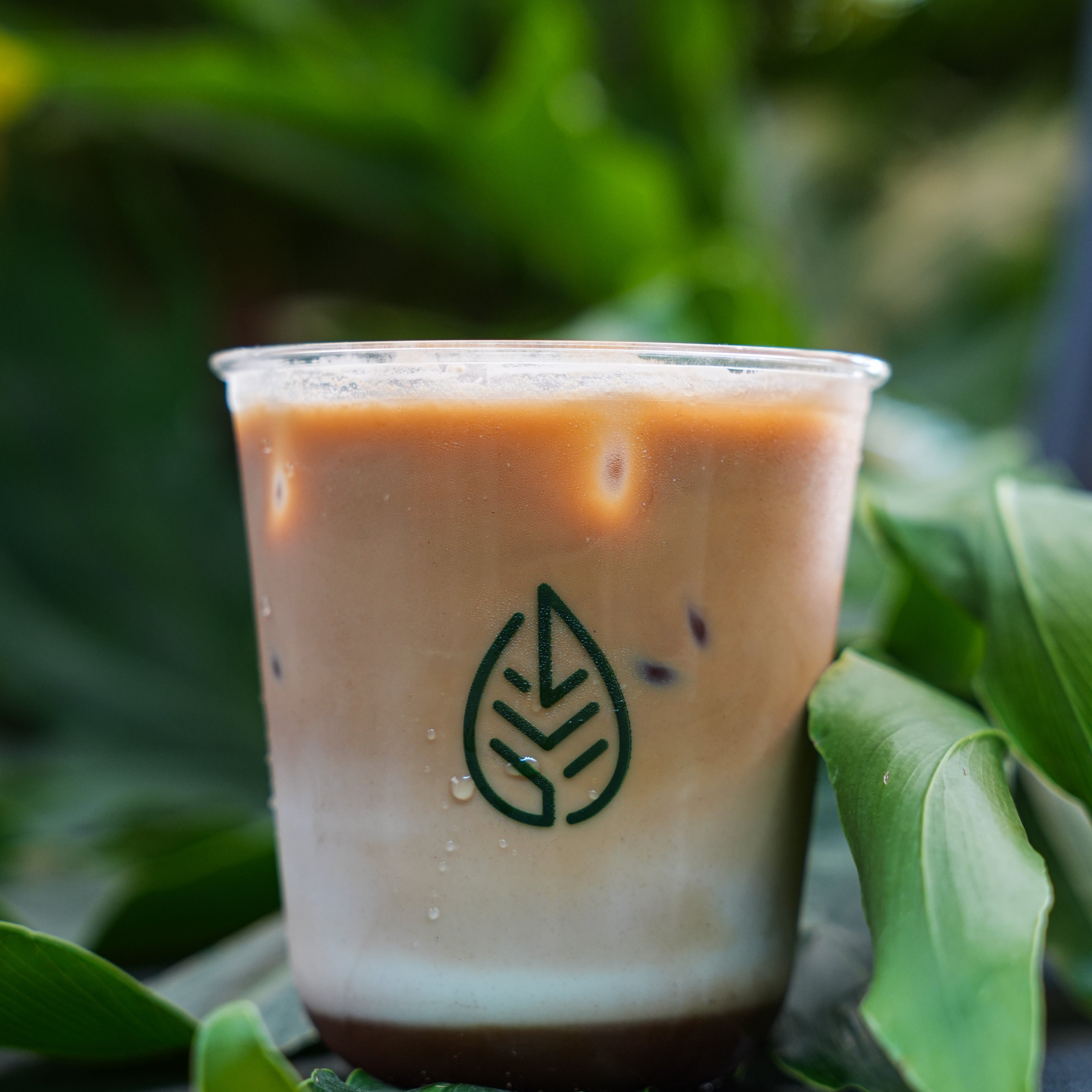 Hot/Ice Spanish Latte