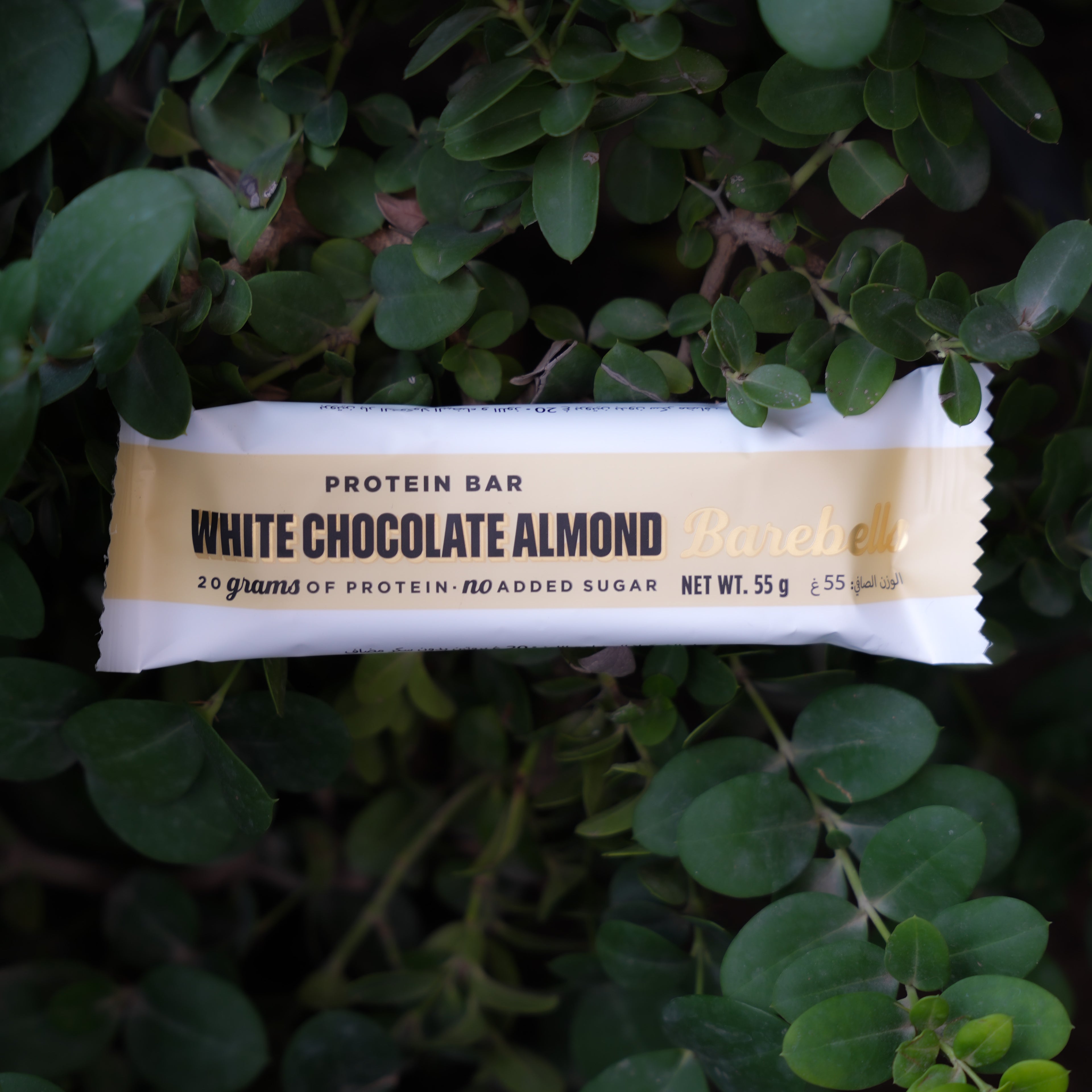 Protein Bar